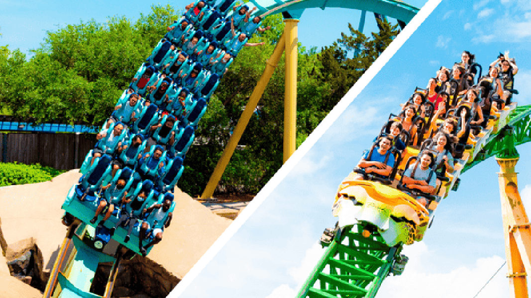 Visit SeaWorld and Busch Gardens in One Weekend: What You Need to Know