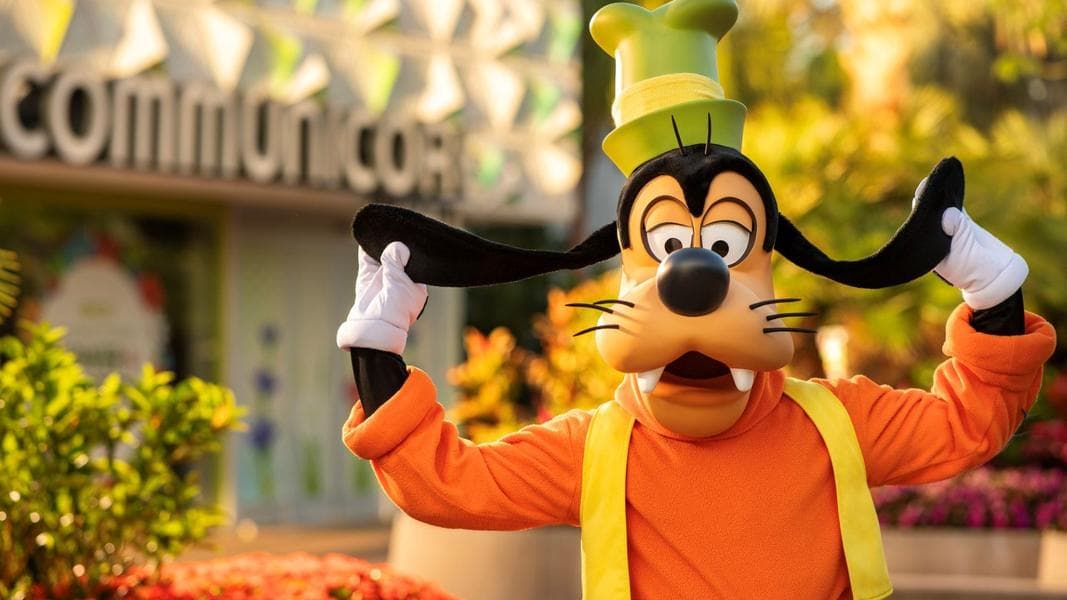 Where to Spot Goofy at Walt Disney World Resort