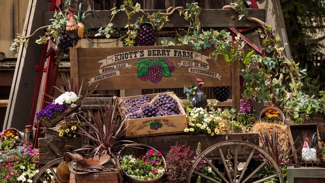 What’s in store for the 10th anniversary of Knott’s Boysenberry Festival