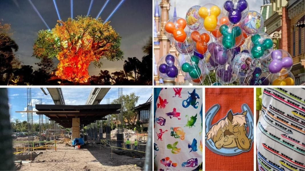 WDWNT Daily Recap (2/14/21): Tree of Life Awakens Again, New Mickey Balloon Colors, Pandora Receives More Nighttime Glow, New Cast Member Aprons Debut at Resort Hotels, and More