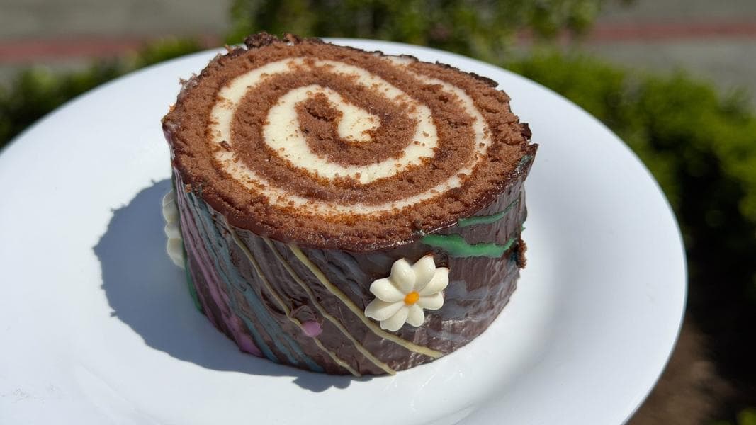 REVIEW: Bluey’s Chocolate Stumpfest Cake at Disneyland Park