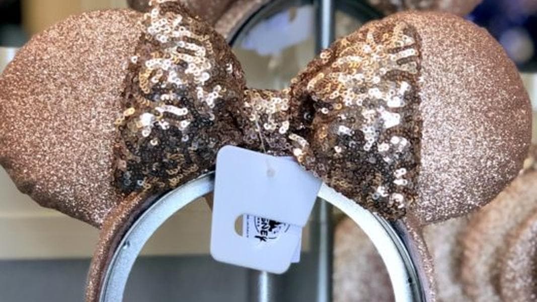 What’s New at Disneyland! A Dole Whip Price Increase and MORE!