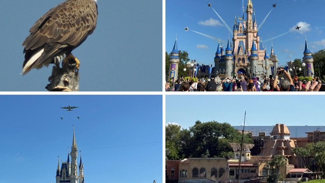 Disney Shares an Official 'Salute to All Native Bald Eagles, but Mostly the Ones at Walt Disney World' - in Today's Daily Recap for 7/4/2026