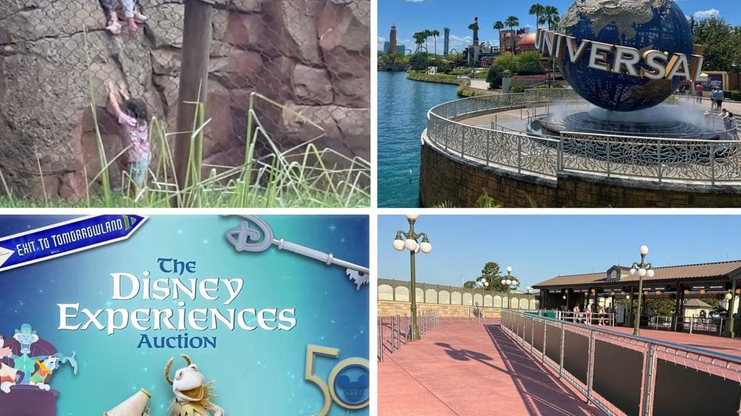 Young Girl Jumps Down Into Animal Enclosure at Disney's Animal Kingdom Lodge - in Today's Daily Recap for 6/29/2026