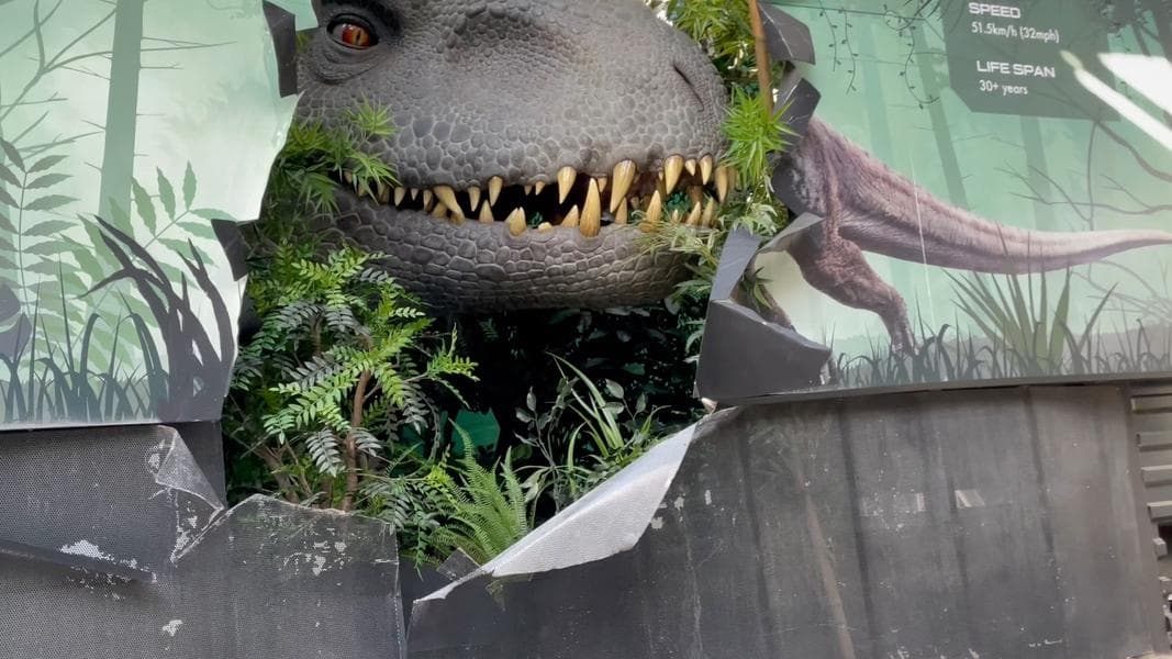 Jurassic World – The Ride returns with new scenes, dinosaurs
