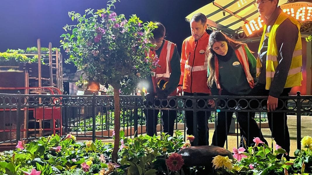 Behind The Scenes: A Night With The Horticulture Team at Disneyland Paris