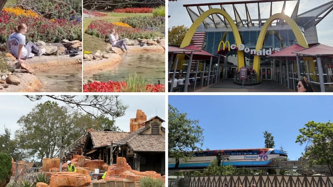 EPCOT Guest Enters Restricted Area, Dips Toes Into Canada Pavilion Stream in Today’s Daily Recap for 2/16/2026