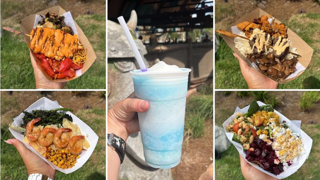 REVIEW: Bowls & Snow Wraith ICEE From Spit Fyre Grill in How to Train Your Dragon – Isle of Berk at Epic Universe