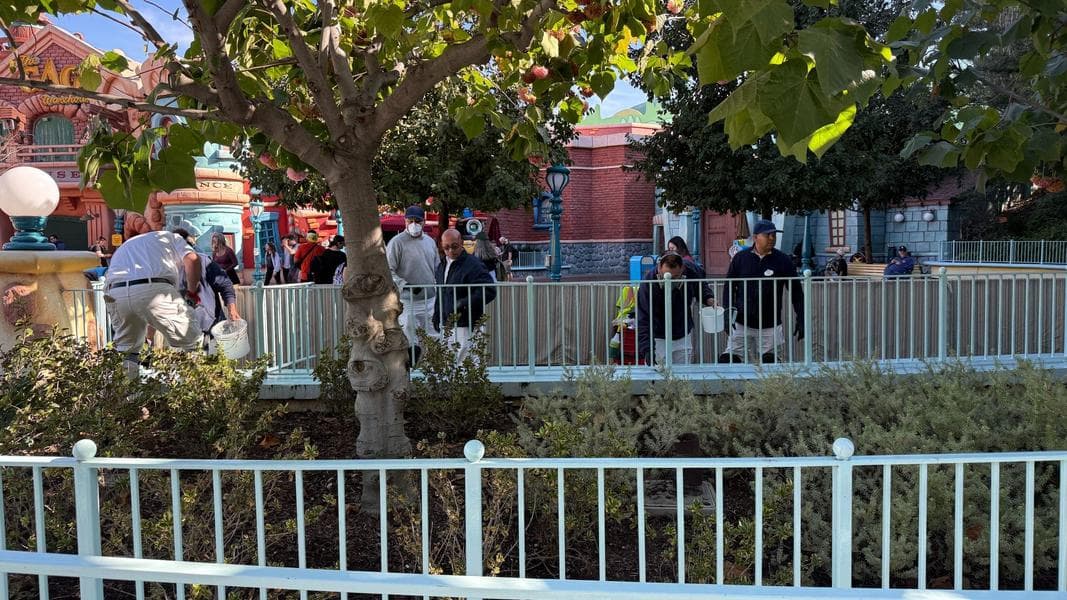 Crews Repainting Portions of Mickey’s Toowntown at Disneyland Park