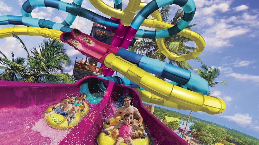 Theme park roundup: SeaWorld water park additions / Disneyland monorail return / Merry Menagerie