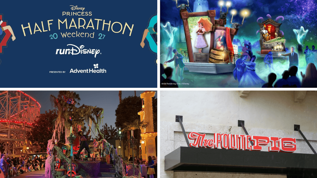 Disney Princess Half Marathon Weekend 2027 Registration Delayed in Today’s Daily Recap for 06/02/2026