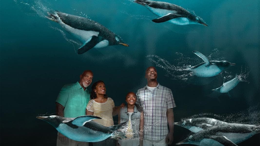 Reservations are no longer required for SeaWorld or Busch Gardens theme parks