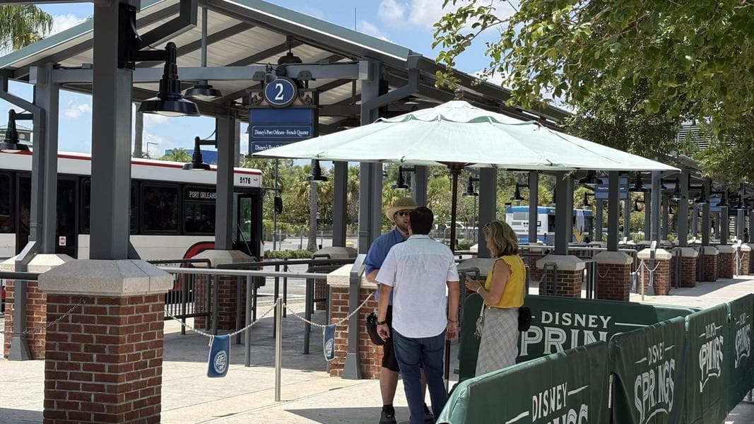 What to Expect as Resort Transportation Verification Goes Into Effect at Disney Springs