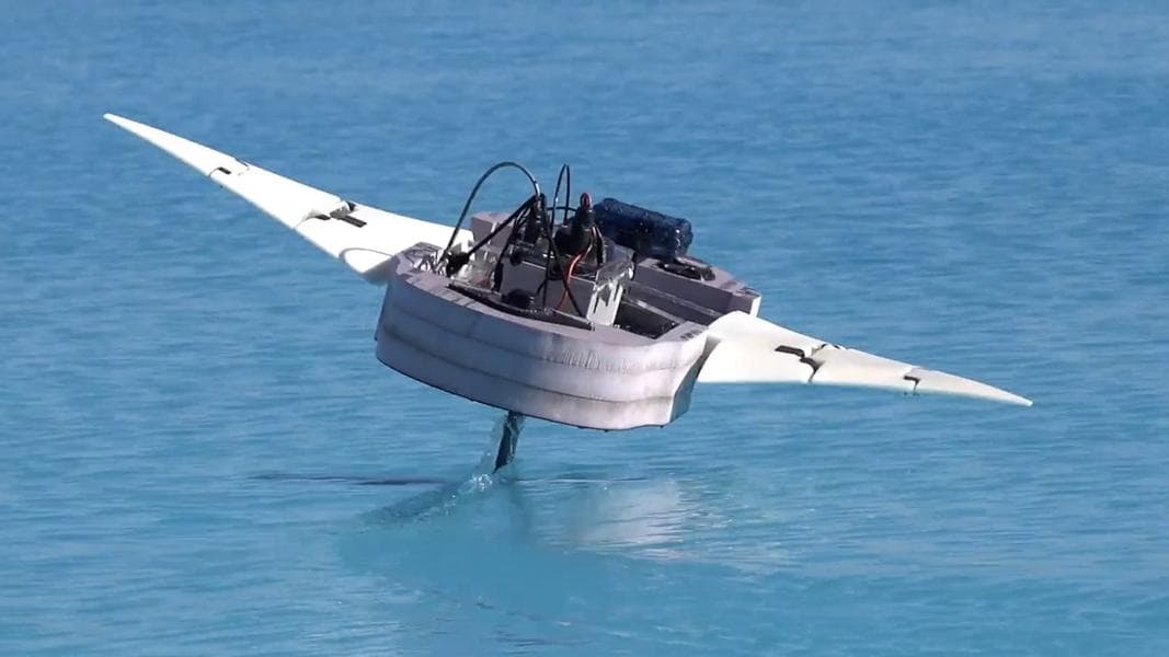Walt Disney Imagineering Developing Hovering 'Star Wars' Food Truck Droid, Gramma Tala Manta Ray