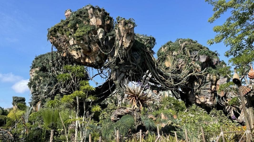 Canadian Man Arrested for Shoulder Checking Cast Member in Pandora: The World of Avatar