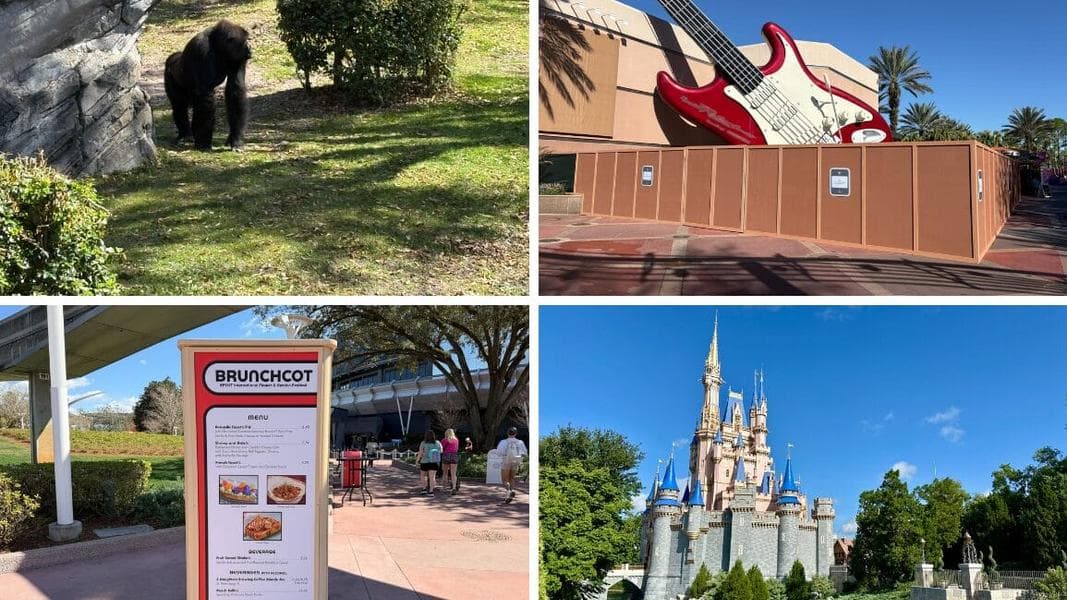 Aerosmith Already Erased from Rock ‘n’ Roller Coaster as Construction Walls Surround Iconic Guitar in Today’s Daily Recap for 03/02/2026