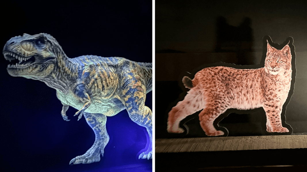 Disneyland Railroad Dioramas Replaced with Cardboard Dinosaur and Animal Cutouts