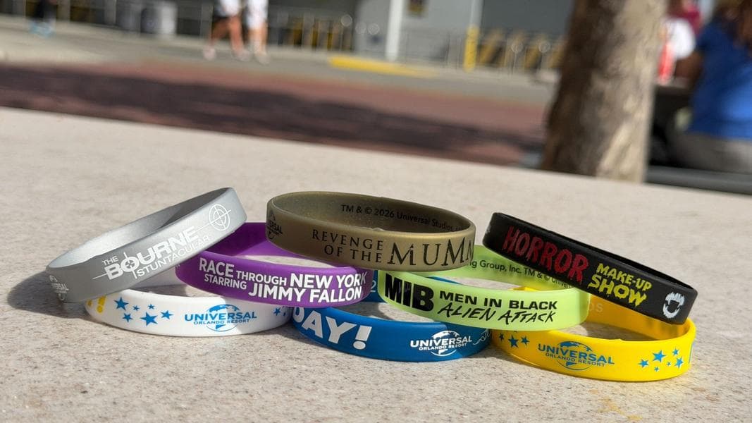 Universal Orlando Attraction Birthday & Celebration Wristbands