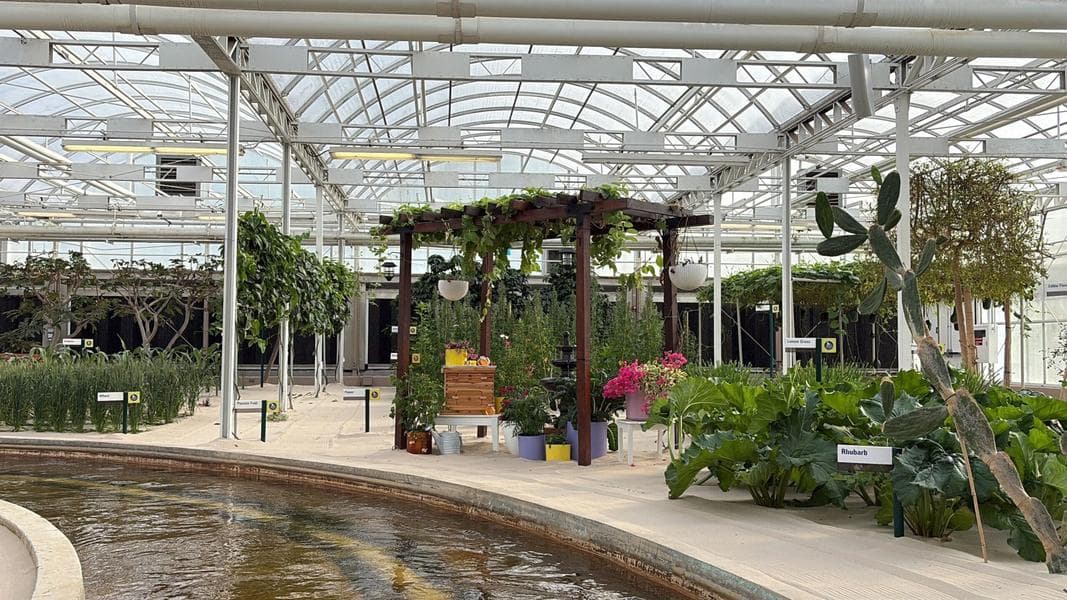 Disney Releases 1-Hour Living With the Land Ambience Video