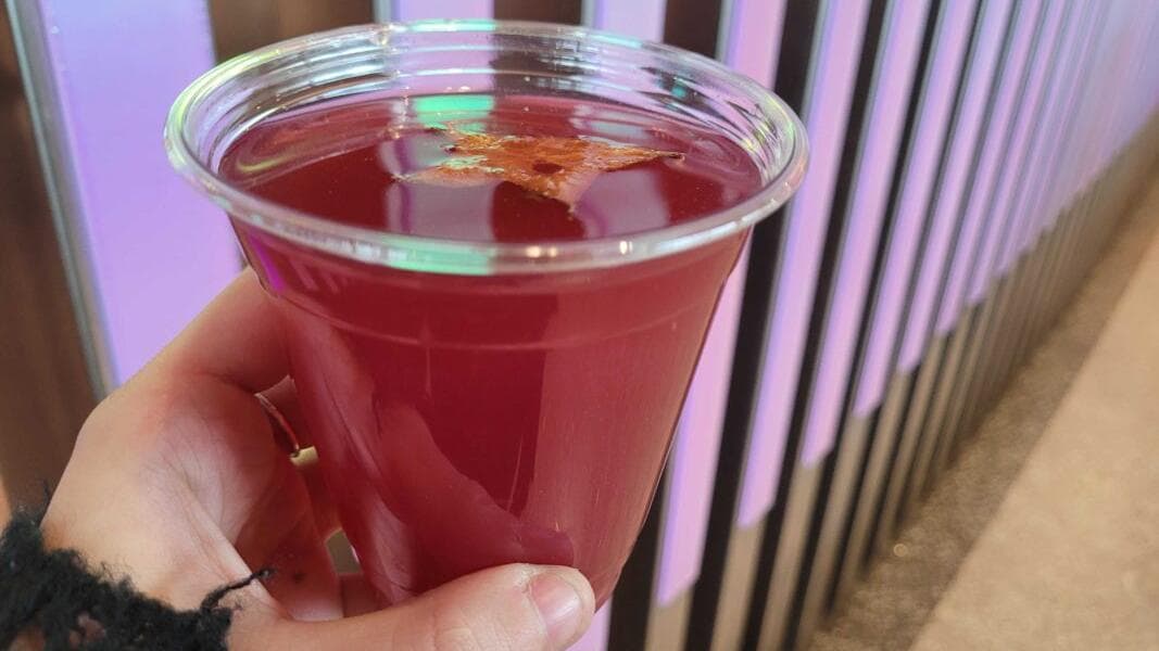 ‘So Many Wishes’ Pomegranate Green Tea Drink Returns to Walt Disney World