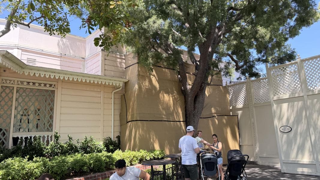 Scrim Installed Around Back Corner of Plaza Inn at Disneyland