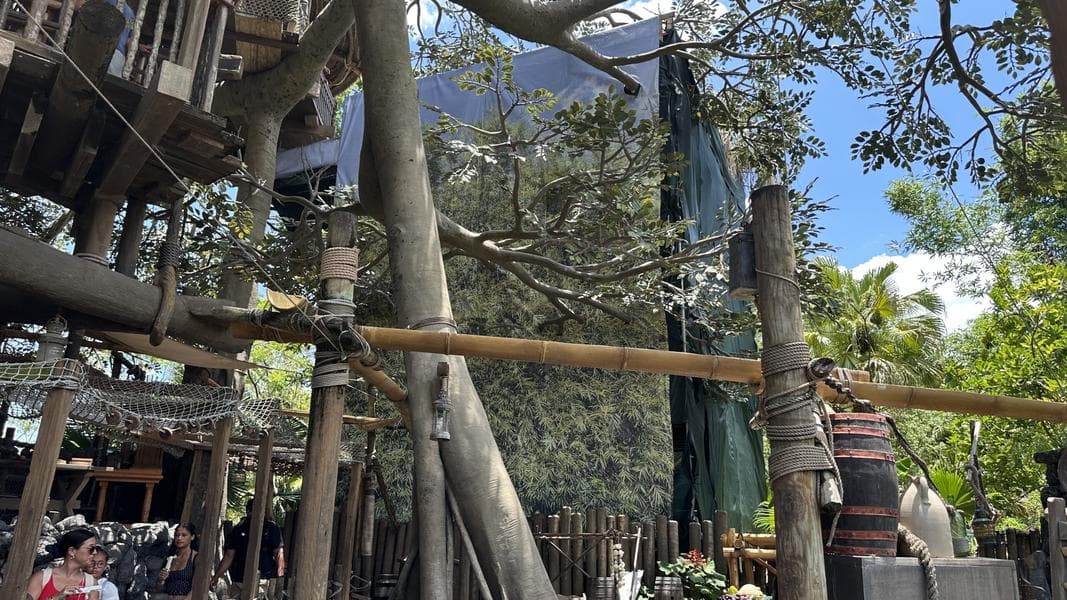 Construction Scrims Appear at Swiss Family Treehouse in Magic Kingdom