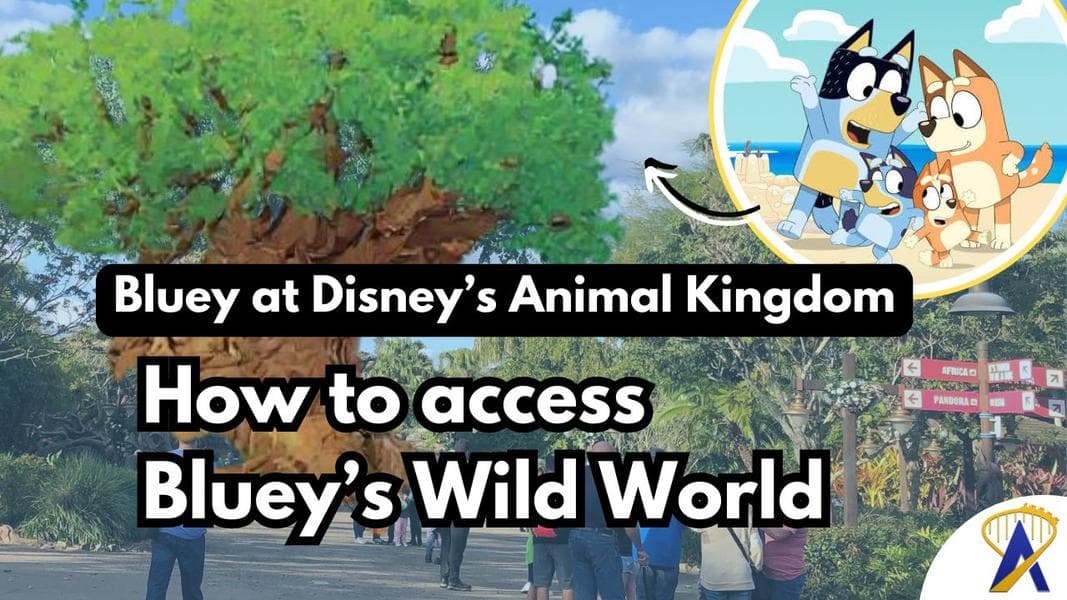 Bluey at Animal Kingdom: virtual queue, train access, and more explained