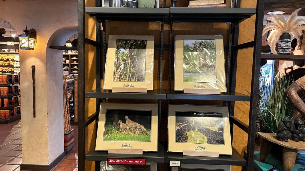 Take Home Your Favorite Disney’s Animal Kingdom Resident With An Animal Portrait