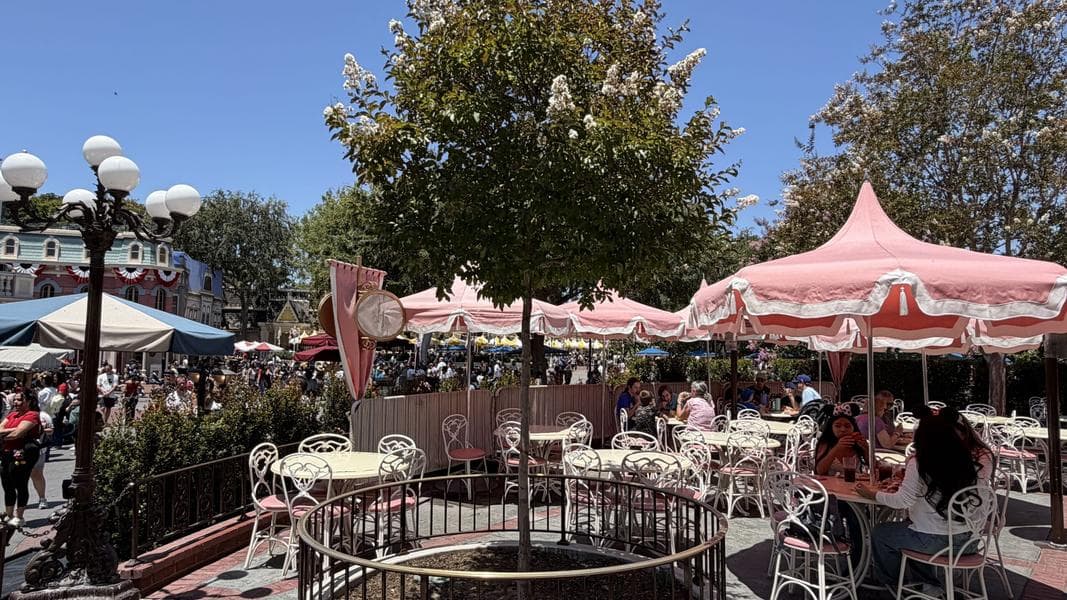 Tree Replaced Outside of Disneyland’s Plaza Inn Restaurant