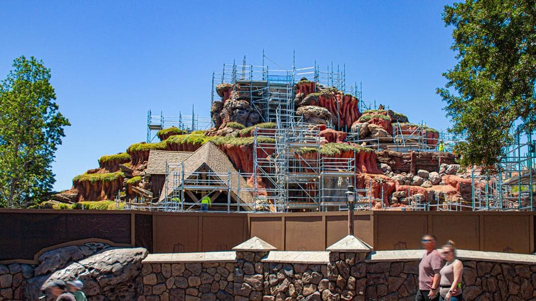 Splash Mountain demolition removes Chickapin Hill tree stump