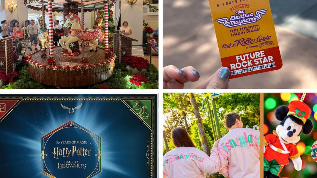 Disney World States Resort Decorations Are Just For Hotel Guests, May Hint at Future Transportation Restrictions - in Today's Daily Recap for 6/25/2026