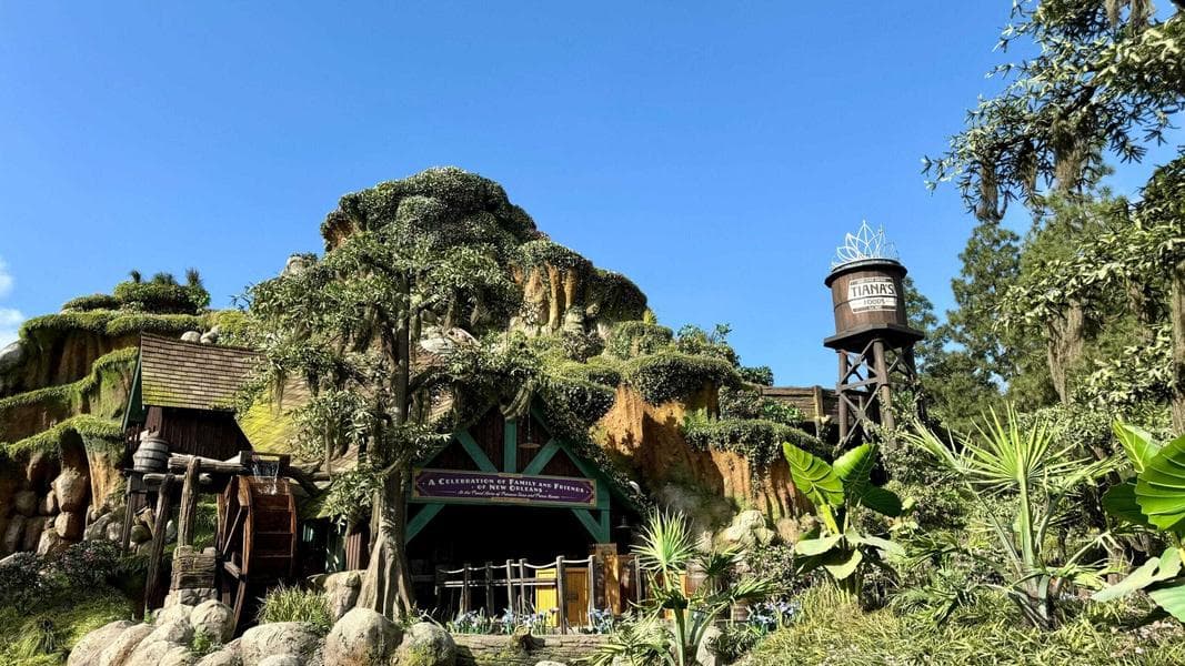 Young Guest Jumps Out of Ride Vehicle on Tiana's Bayou Adventure, Slides Down 50 Foot Drop