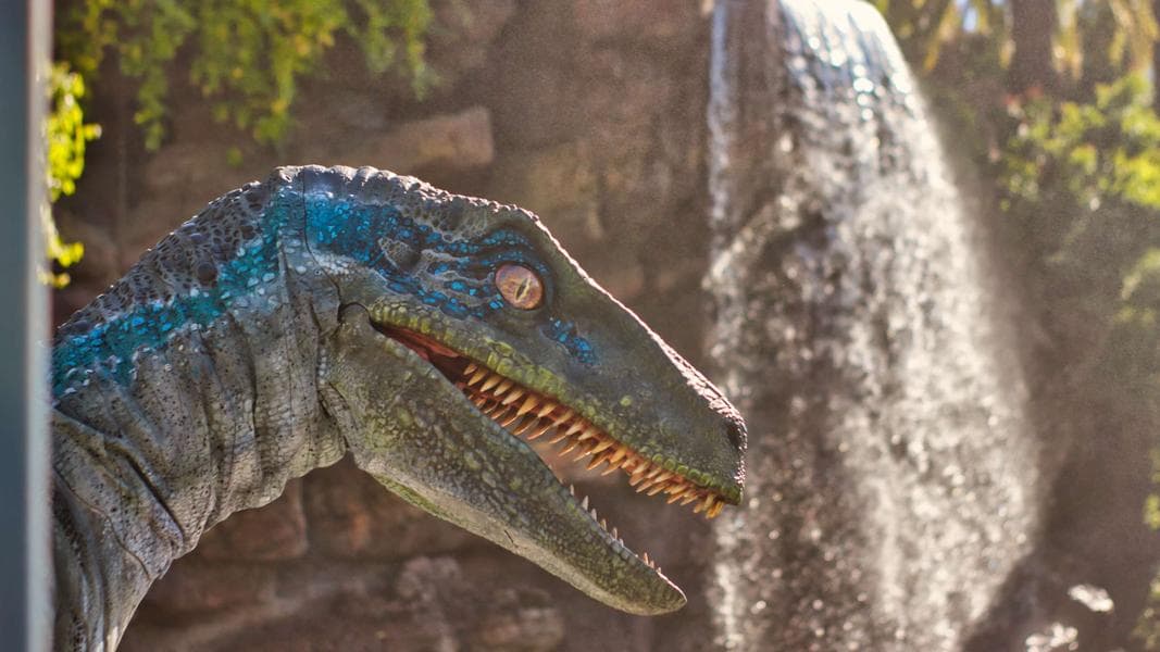 PHOTO REPORT: Universal Studios Hollywood 5/16/22 (Grad Bash Takes Over, Cocina Mexicana Review, Universal Anniversary Collections, and More)
