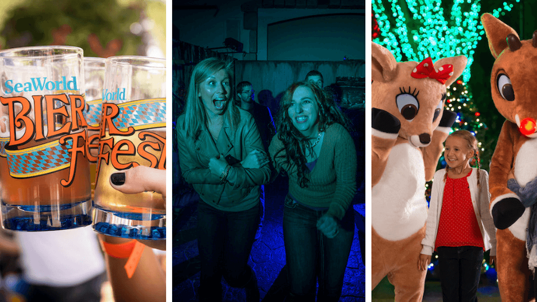 SeaWorld San Antonio to launch 2019 season on Feb. 23