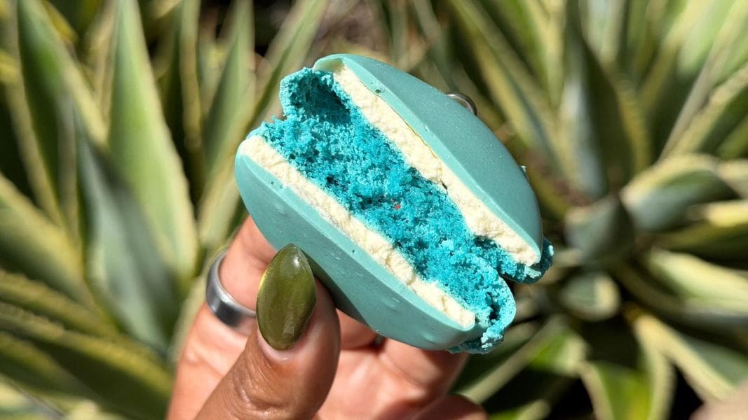 REVIEW: Blue Grogu Cookies Arrive at Disneyland Ahead of ‘The Mandalorian and Grogu’