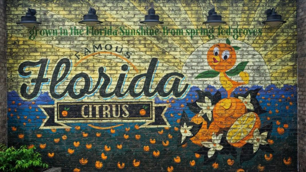 PHOTO REPORT: Disney Springs 6/7/20 (Weekend Crowd Levels, Construction and Reopening Updates, Mask Availability, and More)