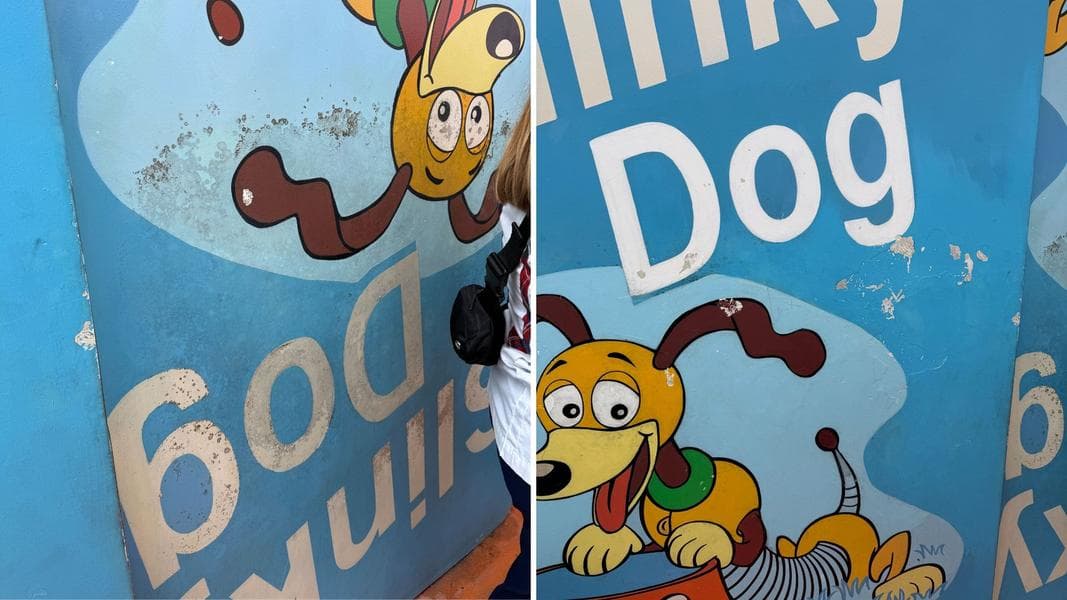 Mold in Slinky Dog Dash Queue at Disney’s Hollywood Studios