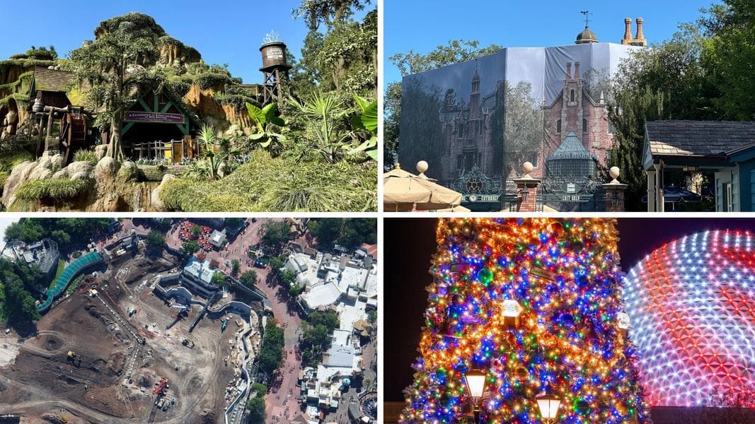 Young Guest Jumps Out of Ride Vehicle on Tiana's Bayou Adventure, Slides Down 50 Foot Drop - in Today's Daily Recap for 6/22/2026